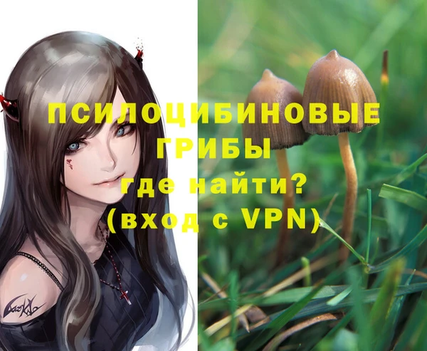 круглые Алексеевка