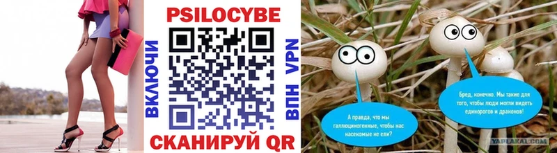 MEGA маркетплейс  Хотьково  Галлюциногенные грибы мухоморы 